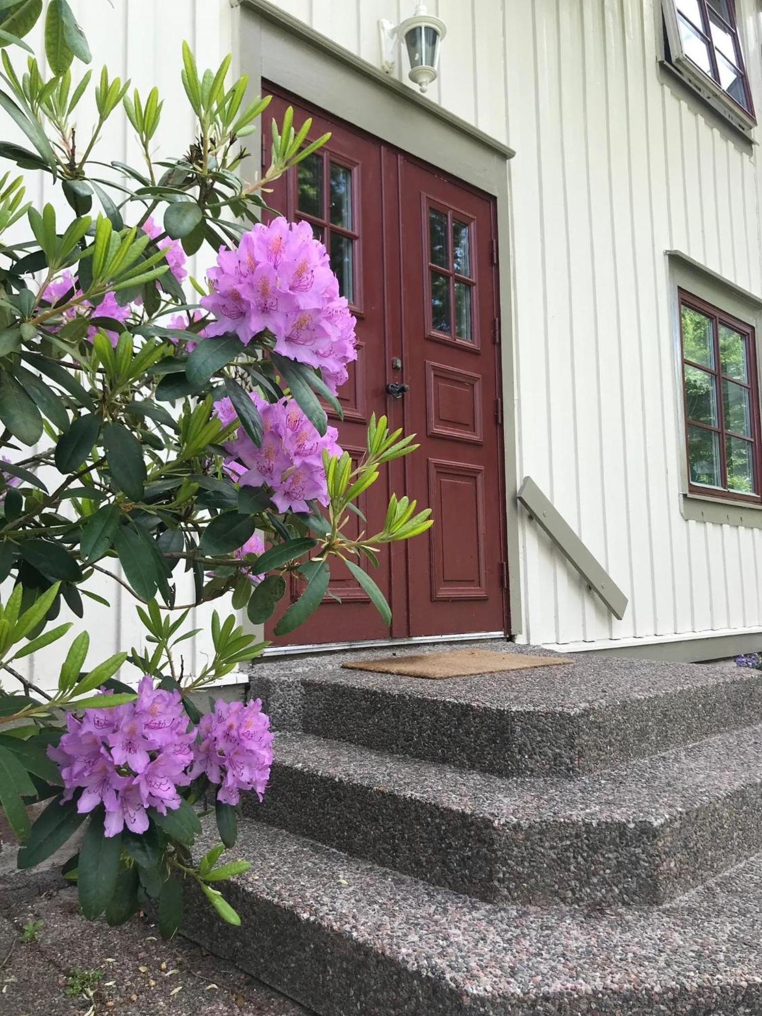 Sjoetorps Saeteris Bed & Breakfast Flygeln Larv Exterior photo